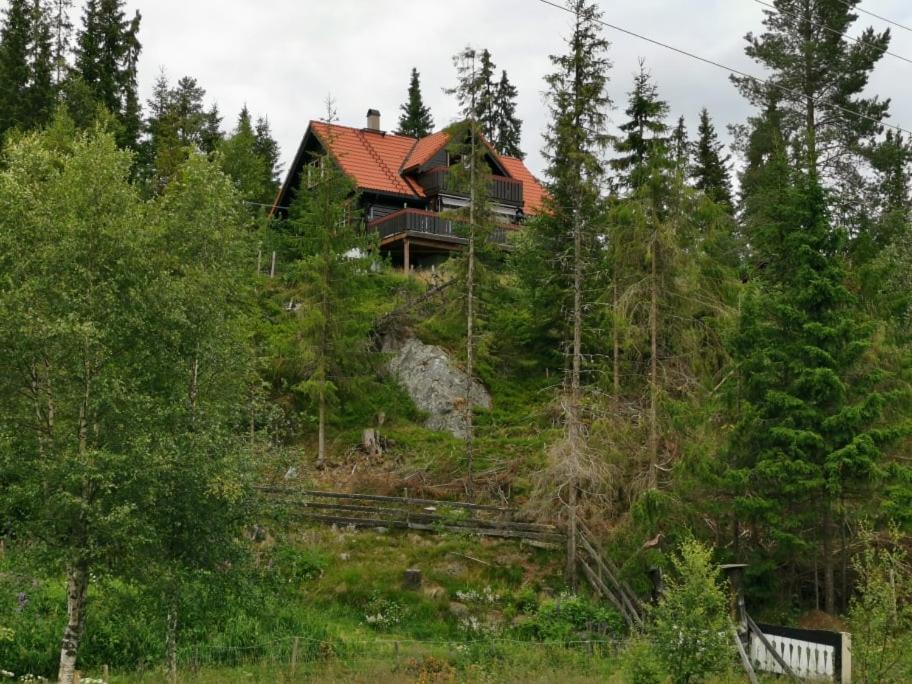 Casa San Gottardo - The Forest House, Etnedal Kültér fotó